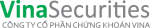 Vina Securities Jsc 2021
