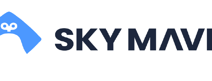 Sky mavis Logo