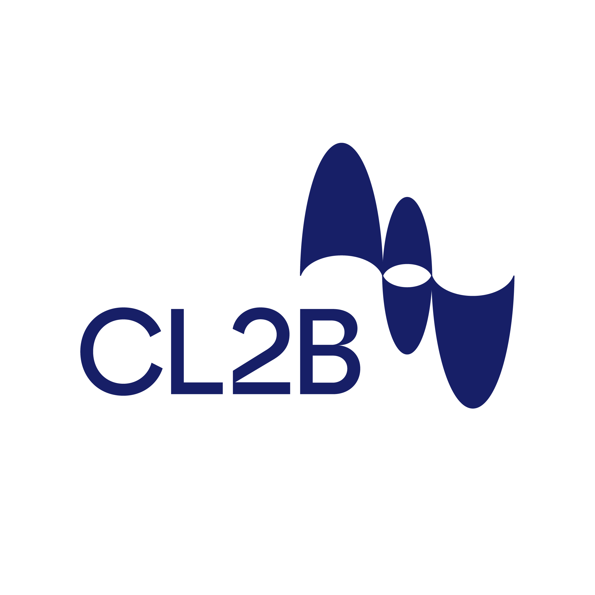 CL2B Logo CL2B Logo White 1