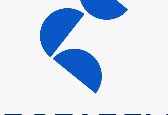 Logo Sotatek