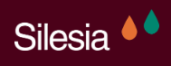 Silesia logo