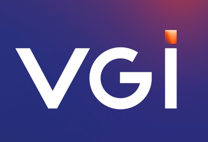 VGI.logo 1